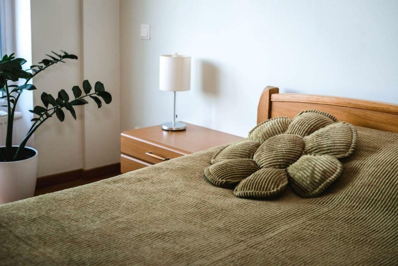 New Apartament Very Close To The City Centre Wilno Zewnętrze zdjęcie