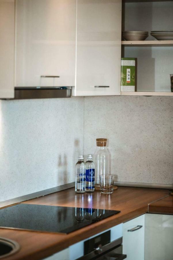New Apartament Very Close To The City Centre Wilno Zewnętrze zdjęcie